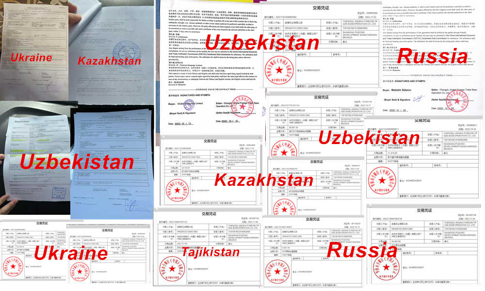Max Speed 180km/h Economical Buick E5 Energy Electric Car Electric Auto Vehicle Imported and Cheaper Winter Birch White