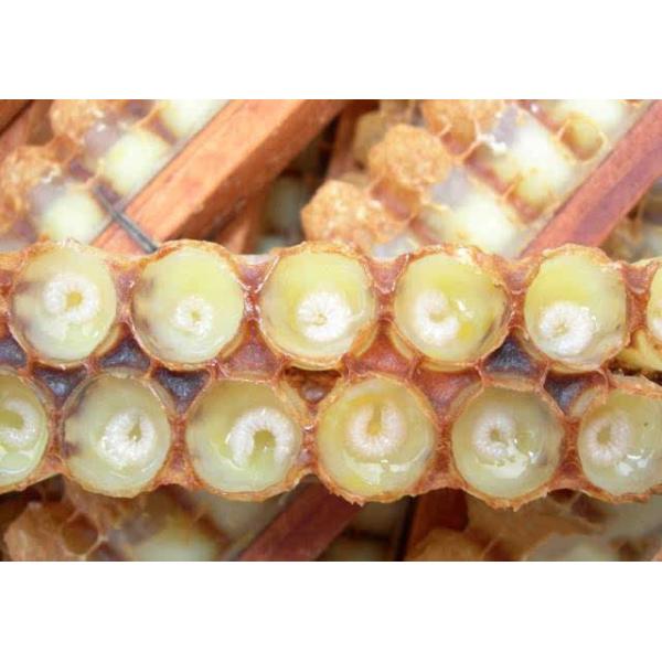 10-HDA 1.8% Organic Fresh Royal Jelly 100% Pure