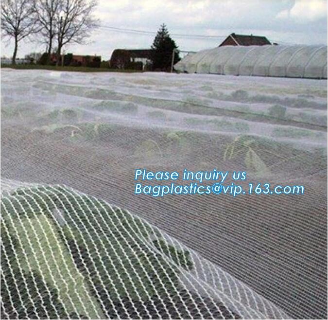 cheap and durable plastic colored anti mosquito netting/window insect screen,Industrial Agricultural Greenhouses use 2m