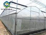 Anti Ultraviolet 6m Tomato Plastic Shed Film Greenhouse