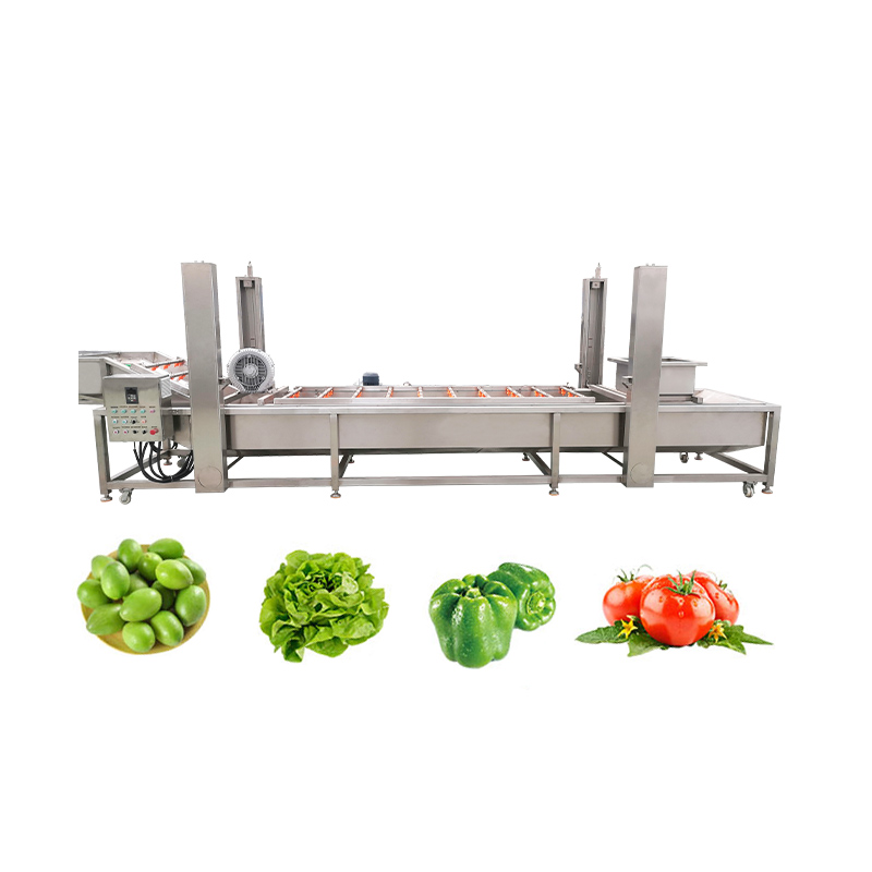 Customized SUS 304 Material Bubble Cleaning Drying Machine for Fruits and Vegetables