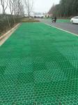 500*500*40 Non-slip Stall Flooring Grid for Plastic Grass Paving in Greening