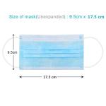CE White list manufacturer EN14683 type 2r earloop 3ply disposable medical