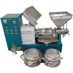 Peanut Automatic Oil Press Machine Cold For Home 0.55kw Pump 1.2*0.78*1.1m