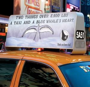 Wholesale Waterproof Car LED Sign Display , Outdoor Full Color Taxi Roof Screen Double Side from china suppliers