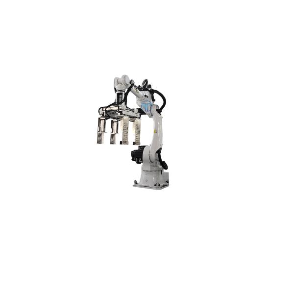 Safety Robotic Case Packer Case Packer Machine Operations