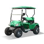 Green Color EV 2 Seats Golf Cart Electric Vehicle With CE Certification Off-Road