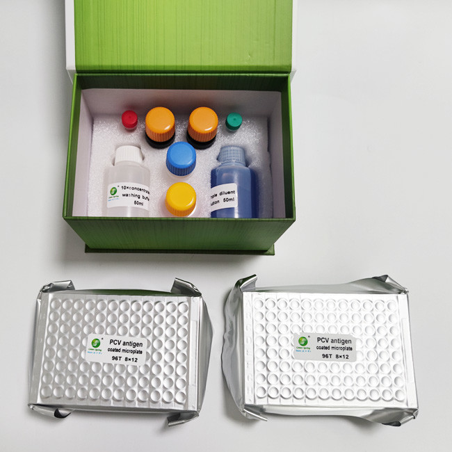 Porcine Circovirus Veterinary Elisa Kit Antibody Fast Detection