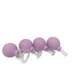 4 Pcs Glass Facial Cupping Set Silicone Vacuum Suction Massage Cups Professional