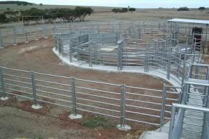 Wholesale Round Tube 6ft Metal Livestock Fence Panels Heavy Duty Galvanized Corral from china suppliers