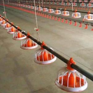 Wholesale Automatic feeding pan system Animal Feeders black soldier fly farm equipment from china suppliers