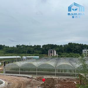 Wholesale Intelligent Galvanized Tube Steel Pipe Tomato Plastic Film Arch Hothouse Agricultural Multi-span Greenhouse For Sale from china suppliers