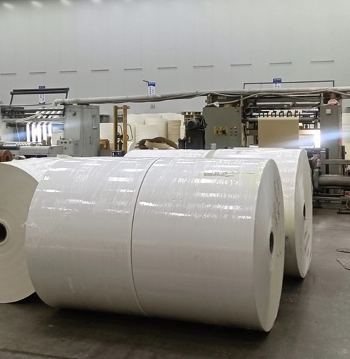 Durable and Eco Friendly PLA Coated Paper Roll for Packing and Takeaway Cup
