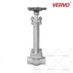 Cryogenic Gate Valve Low Temperature Gate Valve Stainless Steel DN20 800LB