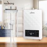Affordable And Durable Forced Exhaust Gas Water Heater 10L Capacity 60MM Flue