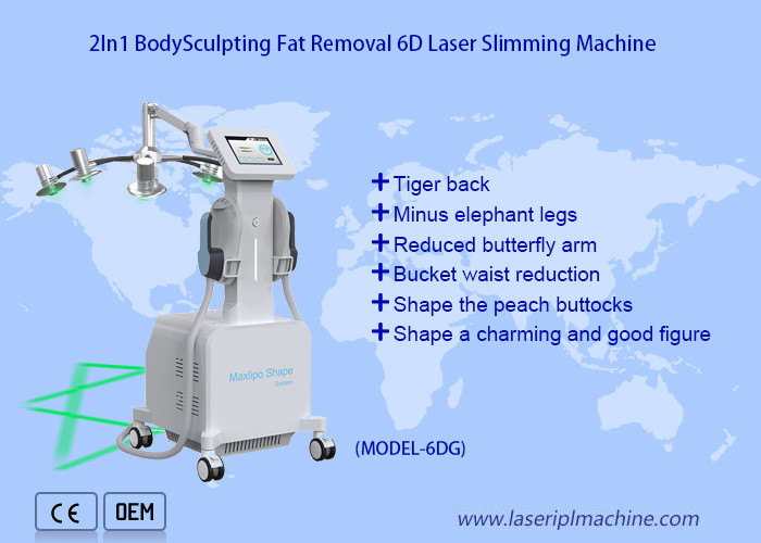Vertical 10d Rotating Maxlipo Cold Laser Machine Loss Weight Knee Arthritis Treatment