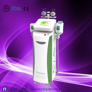 Wholesale Big Sale--Hottest Vertical Fat Freezing Cryolipolysis slimming equipment with Bottom Price from china suppliers