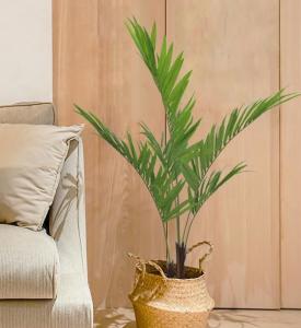 Wholesale Soft Artificial Potted Floor Plants Kenita Pot For Home Decor Uv Resistant from china suppliers