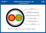 IEC 60502-1 2C Armoured Power Cable , Xlpe Insulated （CU/XLPE/LSZH/STA/NYBY