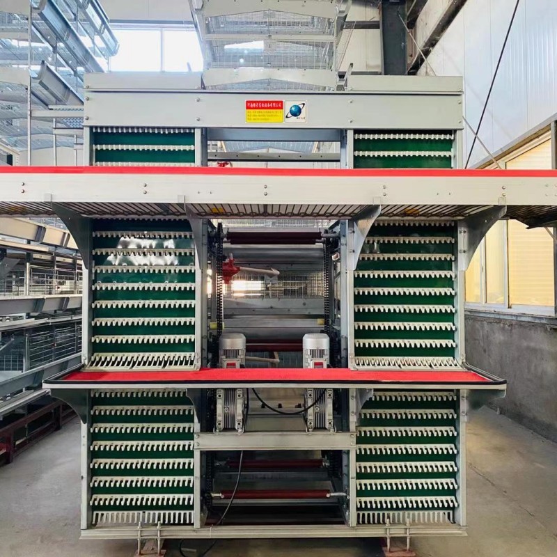 H Type Egg Chicken Layer Cage Price Chicken Wire Cage for Poultry Farm