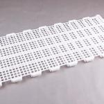 Poultry Farm High Quality Adult And Baby Chicks Poultry Slats baby chicks