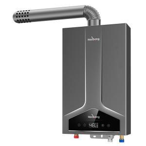 Wholesale Gas Water Heater Modern Style Water Pressure 0.02-0.8MPa for Stock from china suppliers