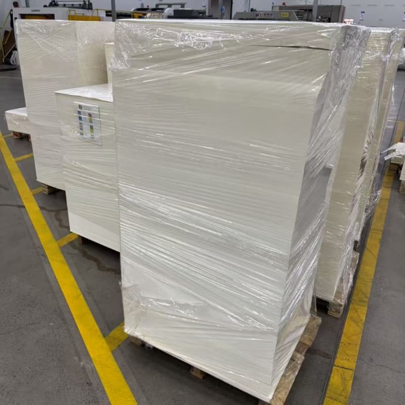Recyclable PLA Coated Paper Sheet Disposable Biodegradable Food Packaging Containers