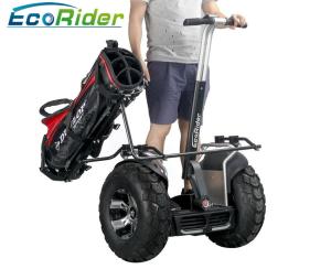 Wholesale Two Wheels Self Balancing Electric Scooter Balance Scooter 21 Inch Big Tire from china suppliers