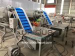 Stainless Steel 304 Fruit Vegetable Potato Peeling Machine for Chopping and