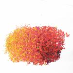 RAMADAN Occasion Resin Tumbler Mix Glitter Powder Bulk Nail Art Decoration with