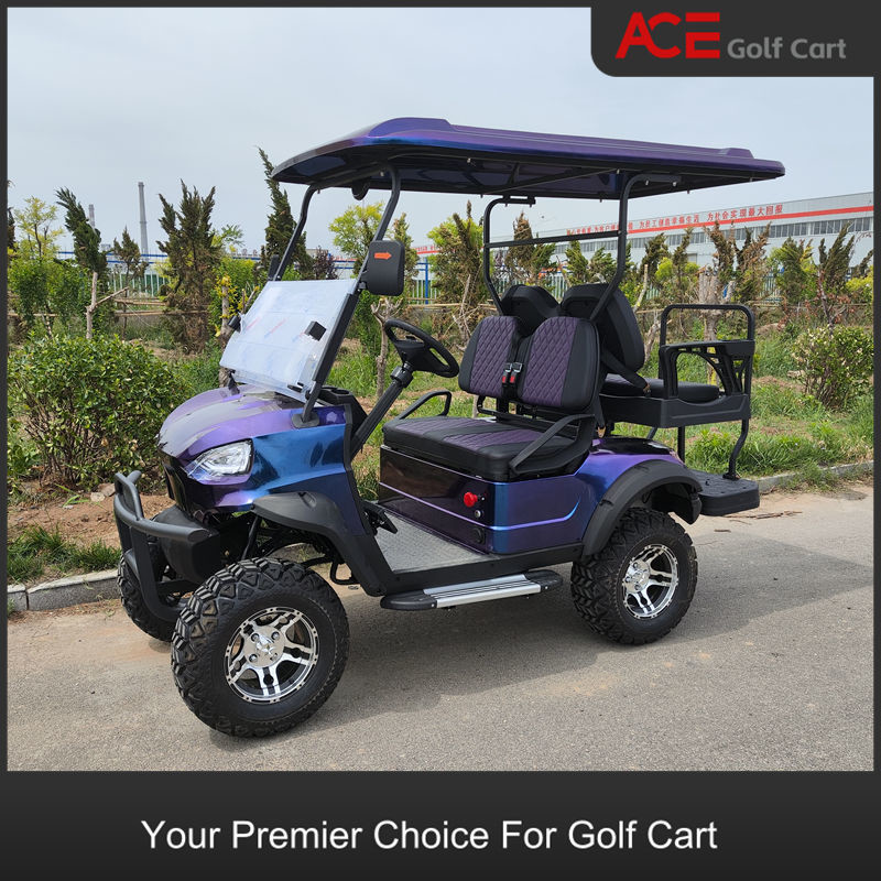 EV Custom Golf Cart 4000W 4 Passengers Four Wheel Electric Tricycle