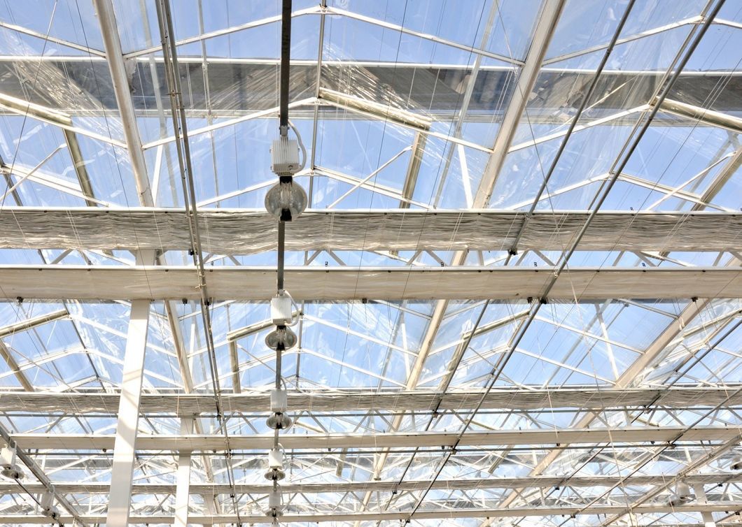Polycarbonate Sheet Greenhouse Green House with Farm Equipment Rdgu0808h-10mm