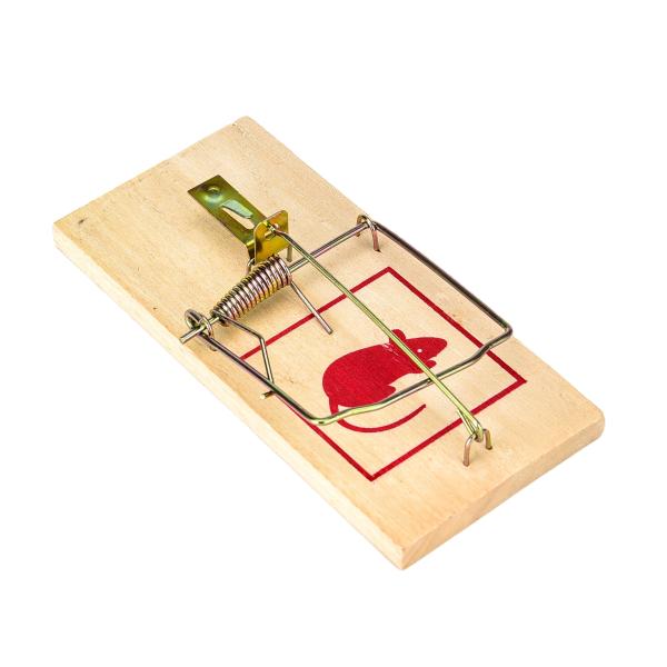 Ultra Strong Spring Wooden Mouse Trap Poplar Rat Killer Catcher for Home House