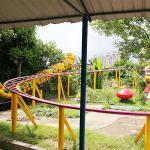 Outdoor Amusement Park Roller Coaster / Little Roller Coaster Mix Color