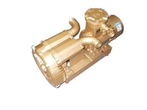 Wholesale 1HP High Pressure Anti Explosion Vacuum Pump Air Blower With Siemens Atex Motor from china suppliers