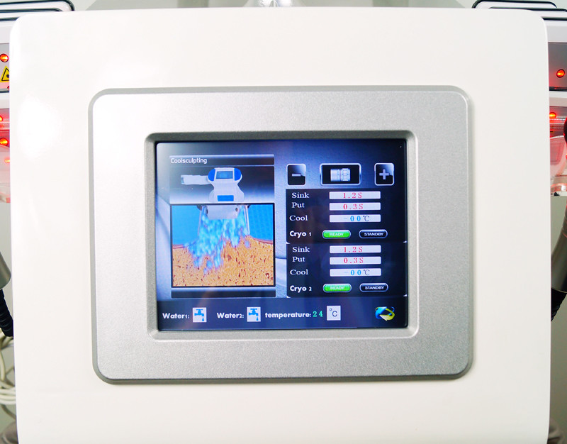 Cellulite Lipo Fat Freezing Cryolipolysis Machine RF 1000W For Salon