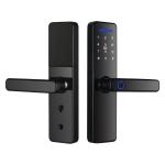 Intelligent Fingerprint Key Password Card Tuya Smart Home Door Lock for Steel