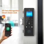 Tuya Smart Fingerprint Door Lock 3D Face Passcode IC Card Glass Door Biometric