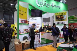 Wholesale Fruits People Gathering and Business Development Fair for China &amp; Abroad from china suppliers