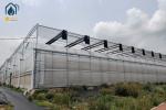 Outdoor Large Multi Span Greenhouse Agriculture Metal Frame Plastic Greenhouse