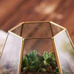 Modern Tabletop Decor Glass Homeware Geometric Terrarium DIY Flower Display Vase