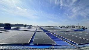 Wholesale Maximun Power 150W±0.25W Pannel Solar Energy System For 65.7 X 39.4 X 1.4 Inches from china suppliers