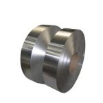Brushed Stainless Steel Coil Strip Cut To Size Mill 2mm 4mm 6mm Profile 10-2000