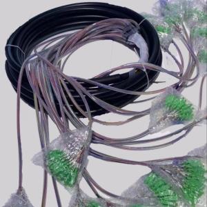 Wholesale 12~432F Fiber Optic Pigtail Fanout Low Insertion Loss High Return Loss Good Repeatability from china suppliers