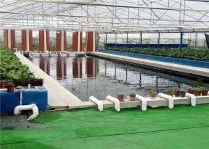 Wholesale Plastic Film Hydroponic Greenhouse Strong Ventilation Ability Convenient To Use from china suppliers
