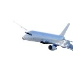 Air Trucking Shipping Mode Freight Forwarder from to Poland with Special Service