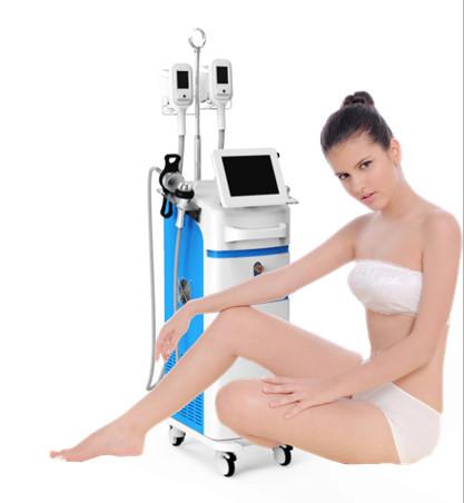 Top quality Freeze Cryolipolysis Machine body slimming sanhe brand and OEM
