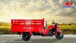 800W DAYANG Heavy Loading Truck Tricycle Three Wheel Cargo Motorized 201 250cc
