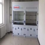 High-Performance Chemical Fume Hood Lab PP Fume Hood 400m3/h Airflow