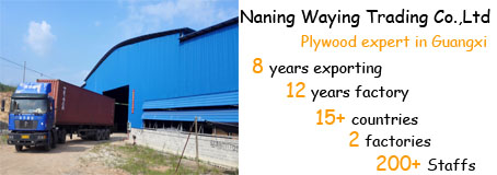 Formwork Concret Poplar 1250*2500mm Film Faced Plywood